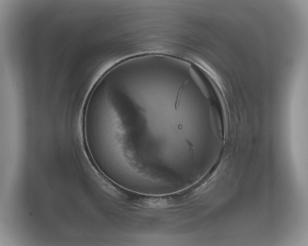 X0000112151291200908141207