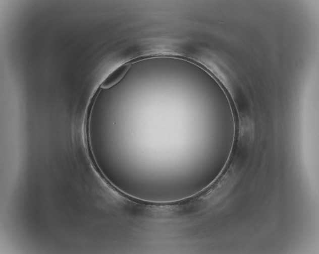 X0000112151293200908141207