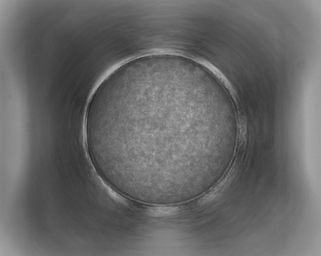 X0000112151294200908141207