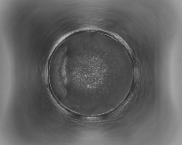 X0000112151295200908141207