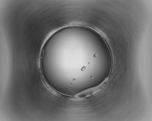 X0000112151296200908141207