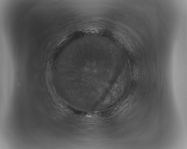 X0000112151297200908141206