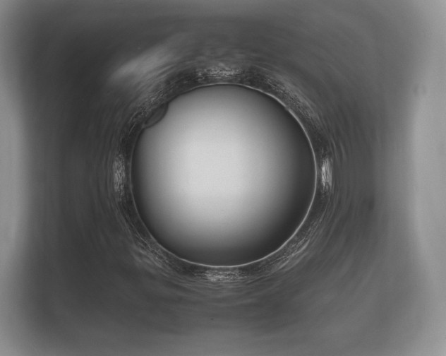X0000112151299200908141206