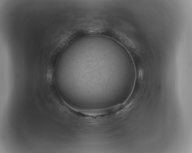 X0000112151300200908141206