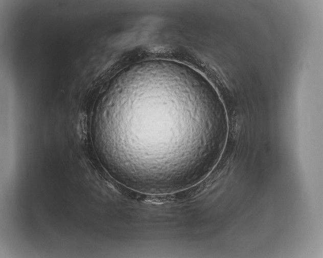 X0000112151301200908141206