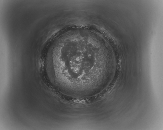 X0000112151302200908141206
