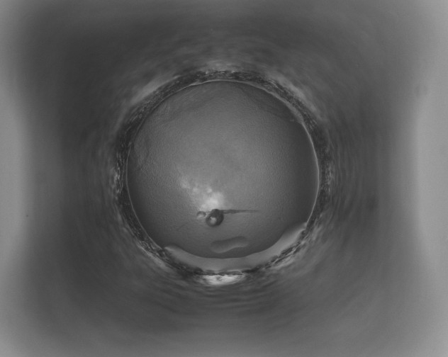 X0000112151303200908141206