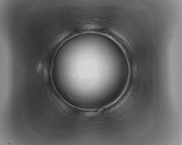 X0000112151305200908141206