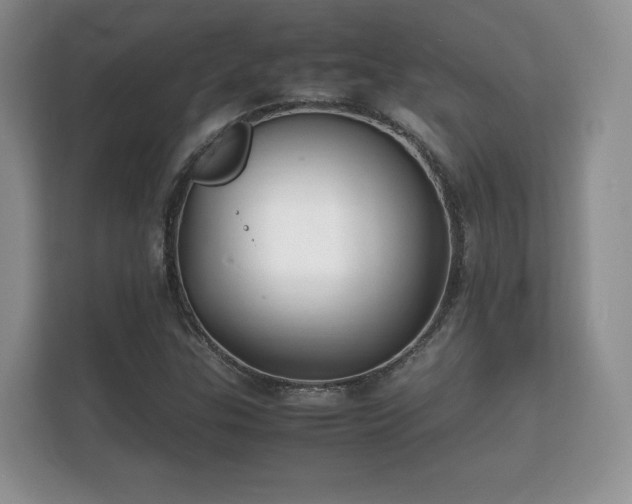 X0000112151307200908141206
