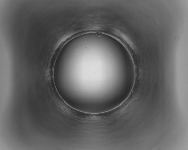 X0000112151308200908141206