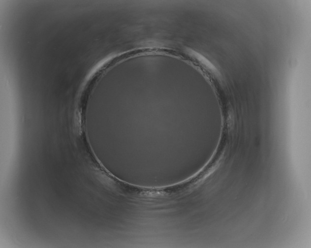 X0000112151310200908141206