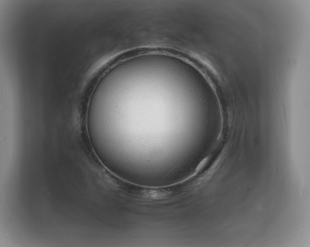 X0000112151311200908141206
