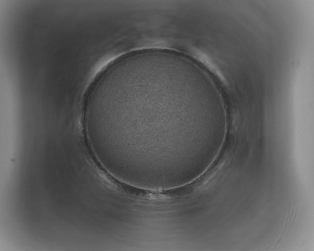 X0000112151312200908141206