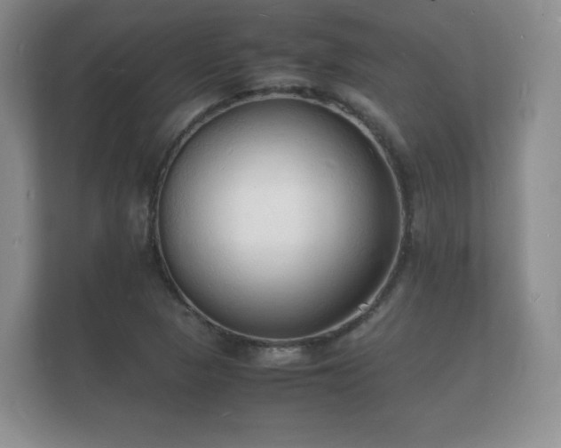 X0000112151313200908141206