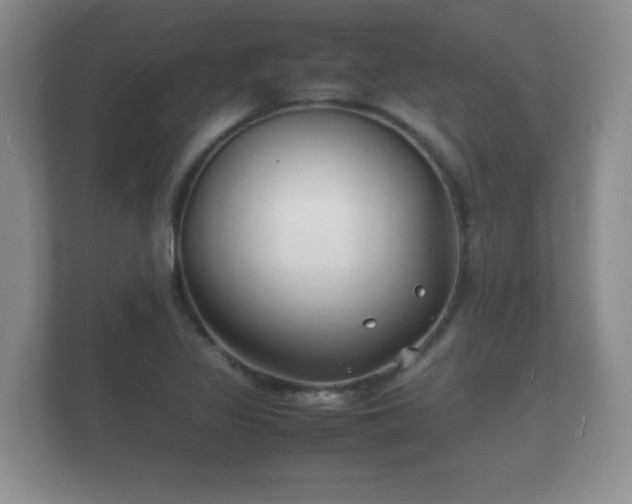 X0000112151317200908141206