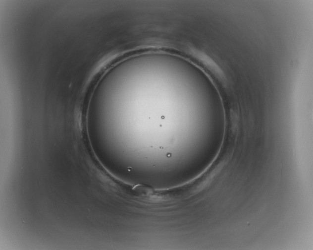 X0000112151318200908141206