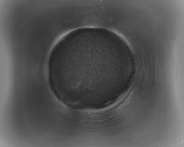 X0000112151319200908141207