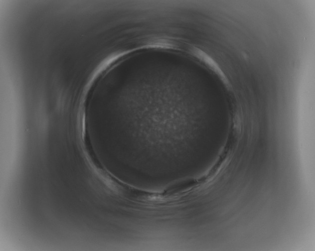 X0000112151323200908141207