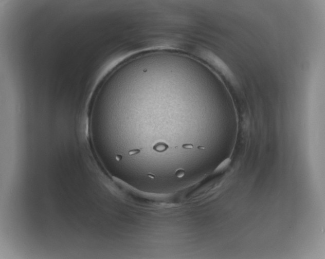 X0000112151324200908141207