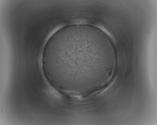 X0000112151325200908141207