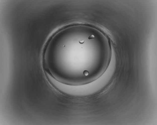 X0000112151326200908141207