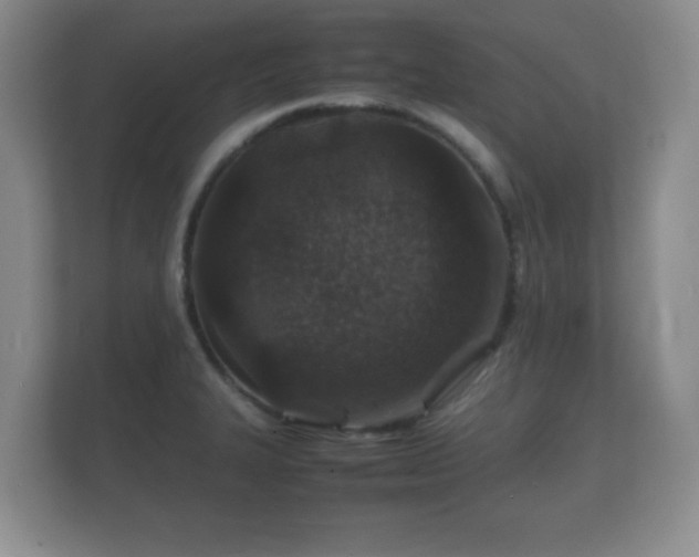 X0000112151327200908141207