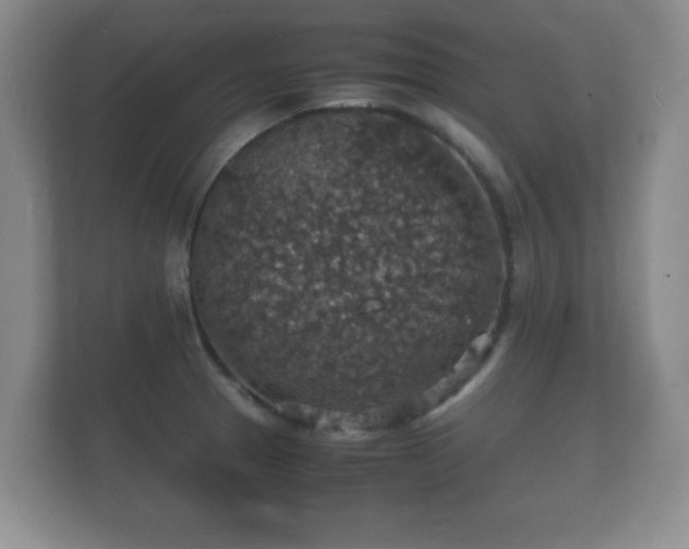 X0000112151329200908141207