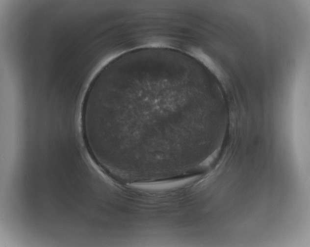 X0000112151331200908141207