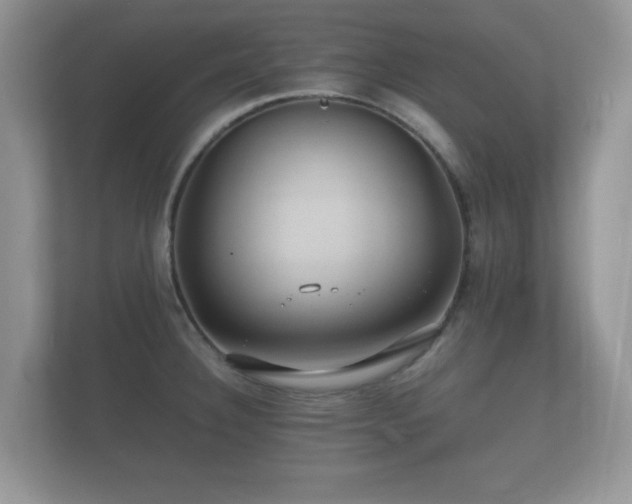 X0000112151332200908141207