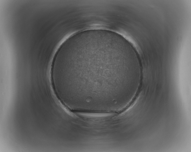 X0000112151333200908141207