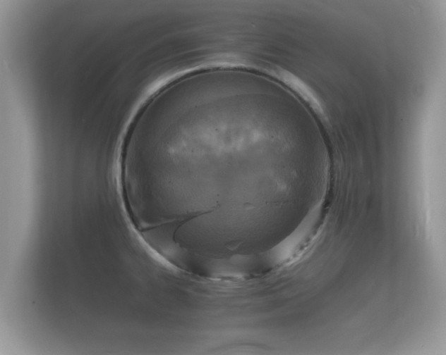 X0000112151334200908141207