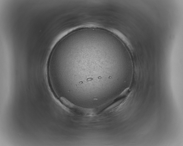 X0000112151335200908141207