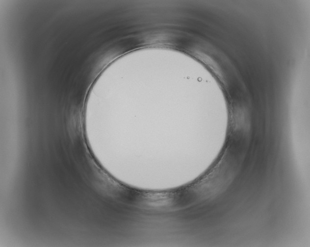 X0000112151338200908141207