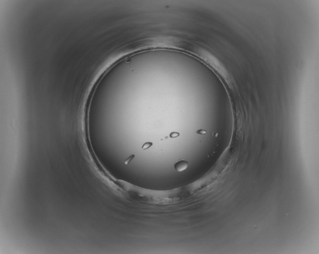 X0000112151339200908141207