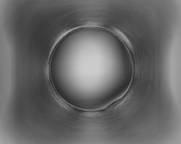X0000112151340200908141207