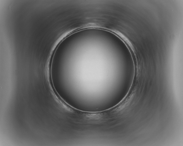 X0000112151341200908141207
