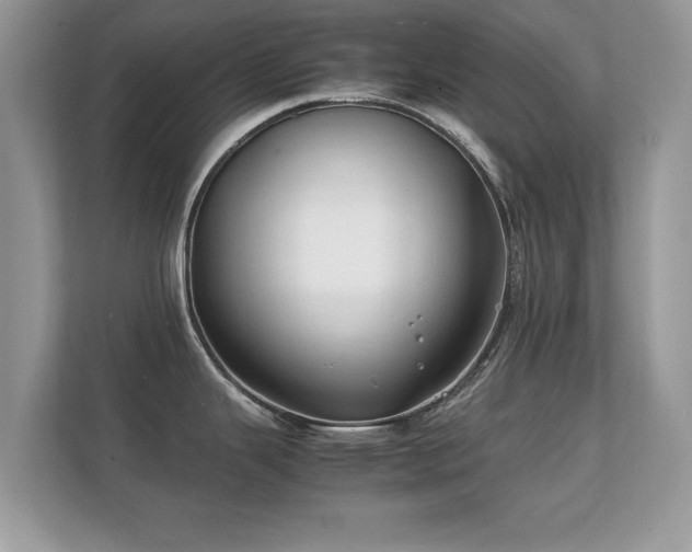 X0000112151343200908141207