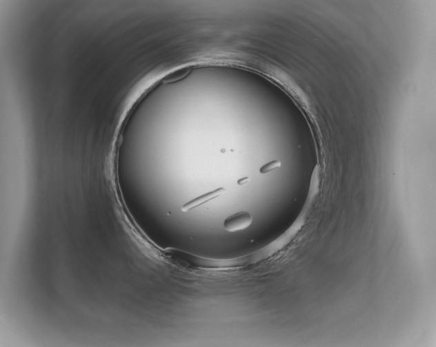 X0000112151344200908141207