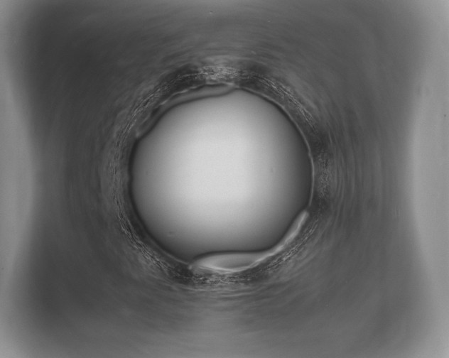 X0000112151345200908141206