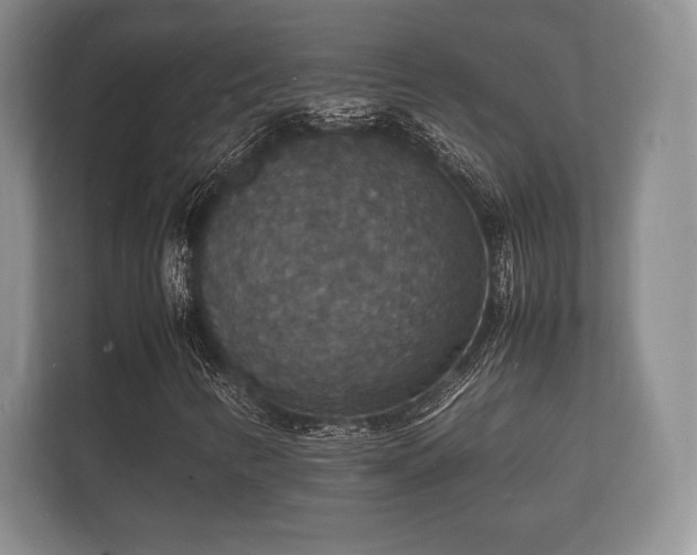 X0000112151346200908141206