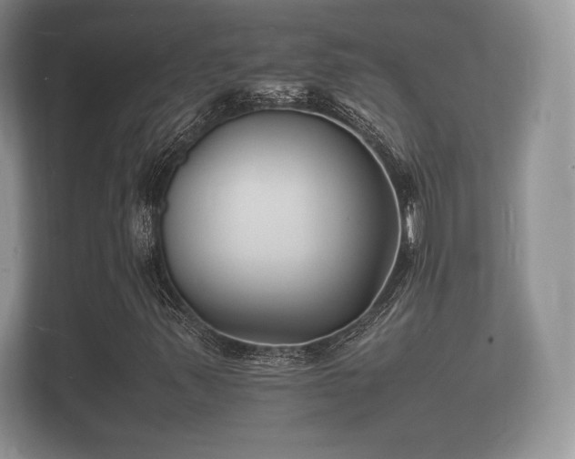 X0000112151347200908141206