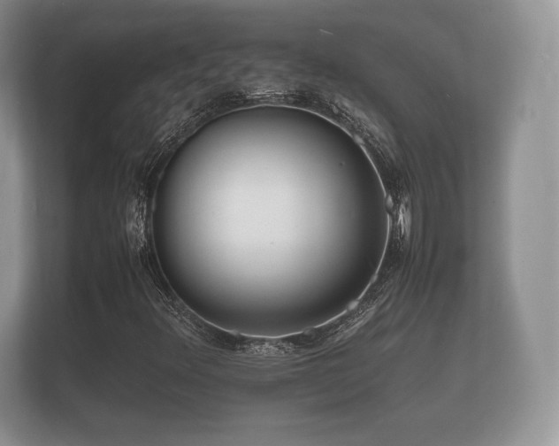 X0000112151348200908141206