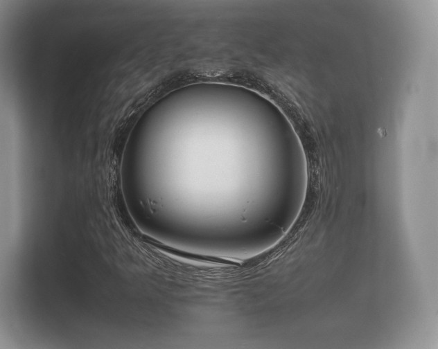 X0000112151349200908141206
