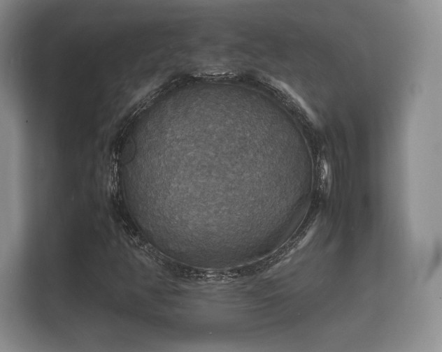 X0000112151350200908141206