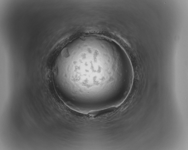 X0000112151351200908141206