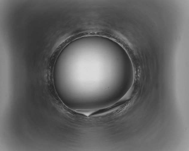 X0000112151352200908141206