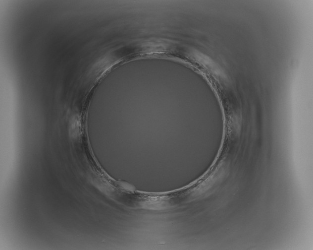 X0000112151353200908141206