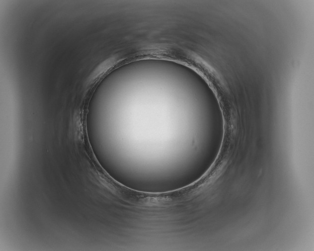 X0000112151354200908141206
