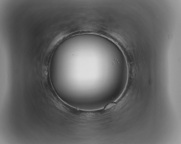 X0000112151355200908141206