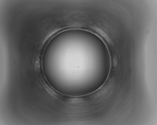 X0000112151356200908141206